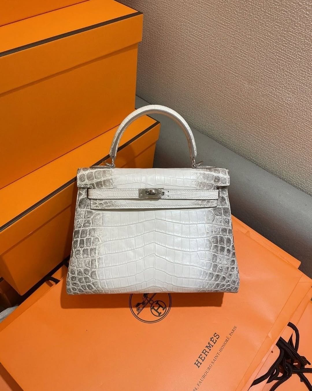 1000432990.jpg Hermes Blanc Crocodile Niloticus Himalaya Encrusted Birkin Bag - Image 1